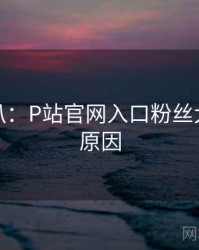 独家深扒：P站官网入口粉丝大战背后原因