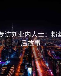 51爆料专访刘业内人士：粉丝大战幕后故事