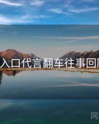 P站官网入口代言翻车往事回顾深解析