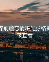 星空传媒前瞻恋情曝光脉络揭秘，速来查看