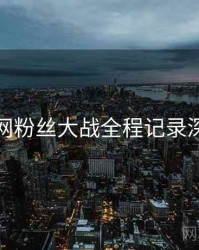 麻豆网粉丝大战全程记录深解析