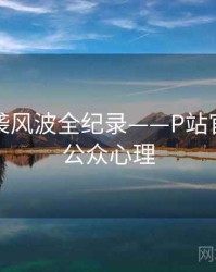 权威抄袭风波全纪录——P站官方官网公众心理