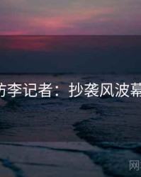 P站专访李记者：抄袭风波幕后故事