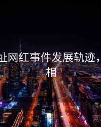 51网网址网红事件发展轨迹，揭秘真相