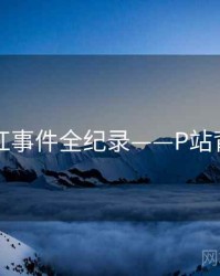 多维网红事件全纪录——P站背后原因