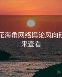 国产探花海角网络舆论风向研判，速来查看