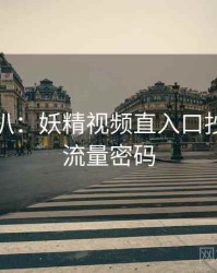 独家深扒：妖精视频直入口抄袭风波流量密码