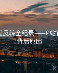 热辣热度反转全纪录——P站官方官网背后原因