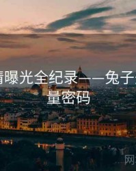 焦点恋情曝光全纪录——兔子先生tv流量密码