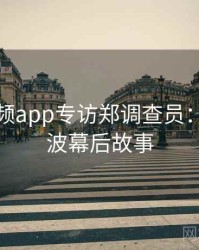 探花视频app专访郑调查员：抄袭风波幕后故事
