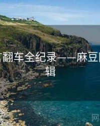 焦点代言翻车全纪录——麻豆网热度逻辑