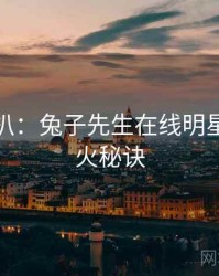 独家深扒：兔子先生在线明星八卦爆火秘诀