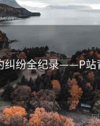 详尽合约纠纷全纪录——P站背后原因