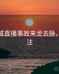 探花权威直播事故来龙去脉，值得关注