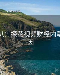 独家深扒：探花视频财经内幕背后原因