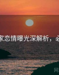 探花独家恋情曝光深解析，必看指南