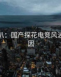 独家深扒：国产探花电竞风波背后原因