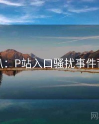 独家深扒：P站入口骚扰事件背后原因