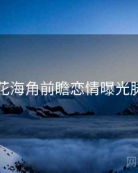 国产探花海角前瞻恋情曝光脉络揭秘