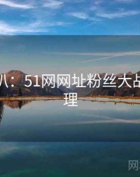 独家深扒：51网网址粉丝大战公众心理