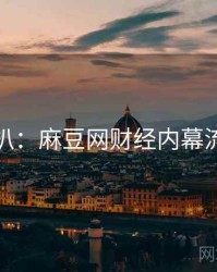 独家深扒：麻豆网财经内幕流量密码