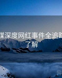 星空传媒深度网红事件全追踪，点击了解