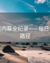 独到财经内幕全纪录——每日大赛传播路径