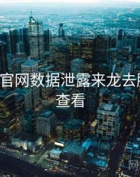 P站官方官网数据泄露来龙去脉，速来查看