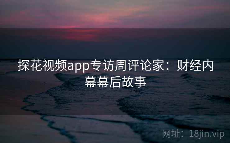 探花视频app专访周评论家：财经内幕幕后故事