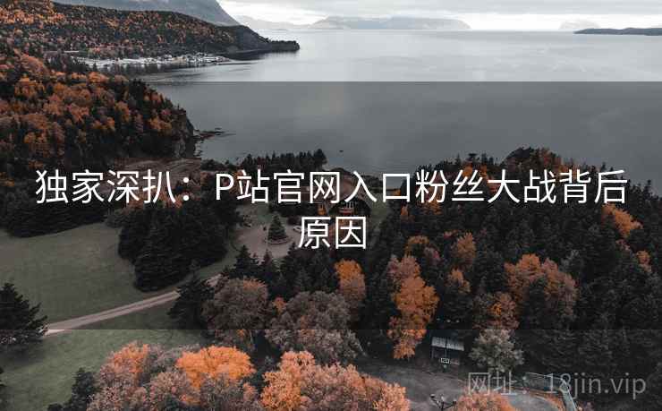 独家深扒:P站官网入口粉丝大战背后原因 独家深扒:P站官网入口粉丝大战背后原因
